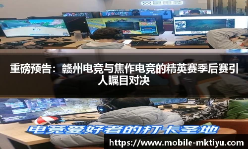 mk体育官网